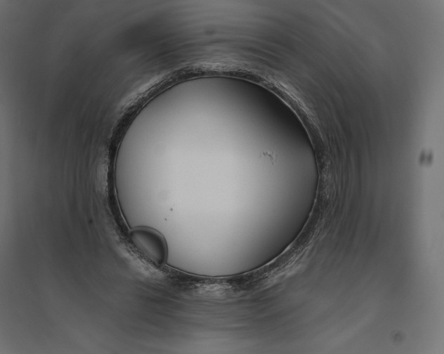 X0000094370446200711242003