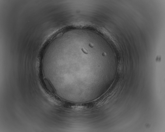 X0000094370448200711242003