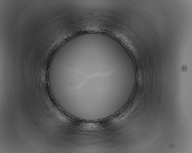 X0000094370449200711242003