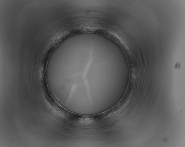 X0000094370451200711242003