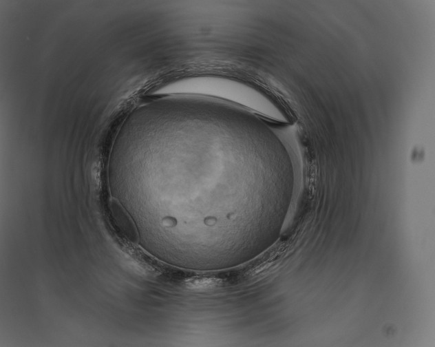 X0000094370452200711242003