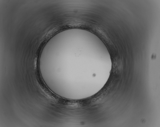 X0000094370454200711242003