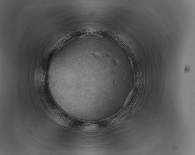 X0000094370456200711242003