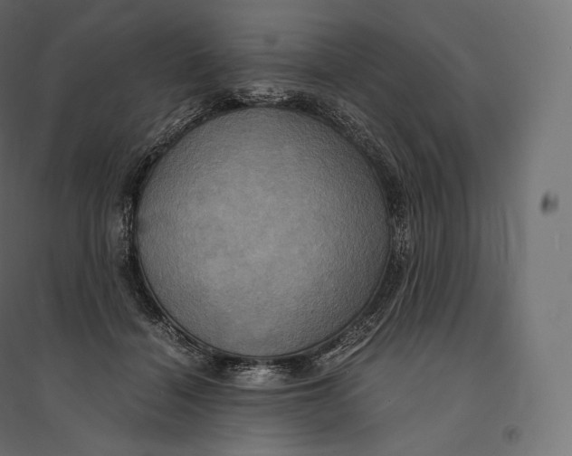 X0000094370460200711242003