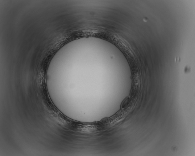 X0000094370463200711242003