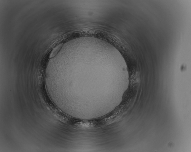 X0000094370464200711242003