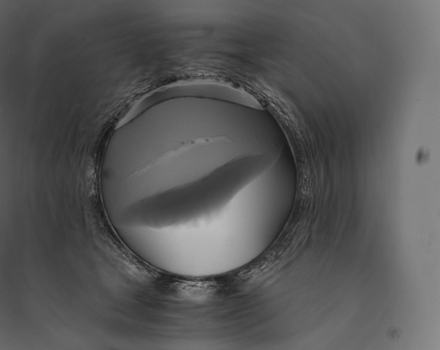 X0000094370465200711242003