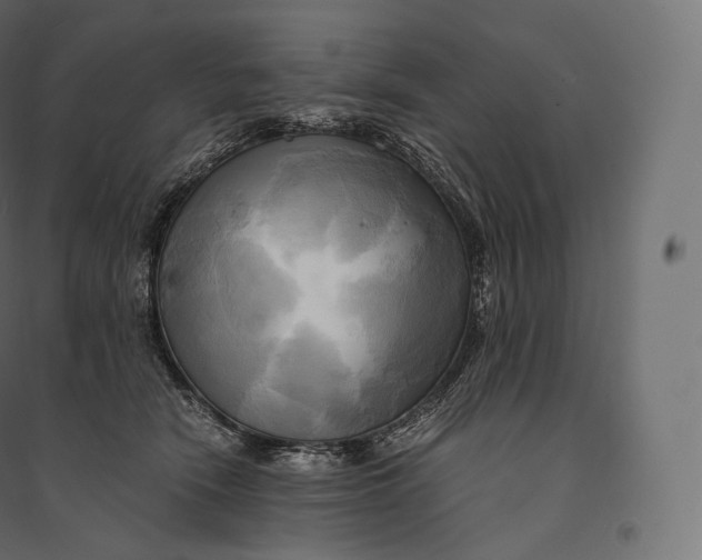 X0000094370466200711242003