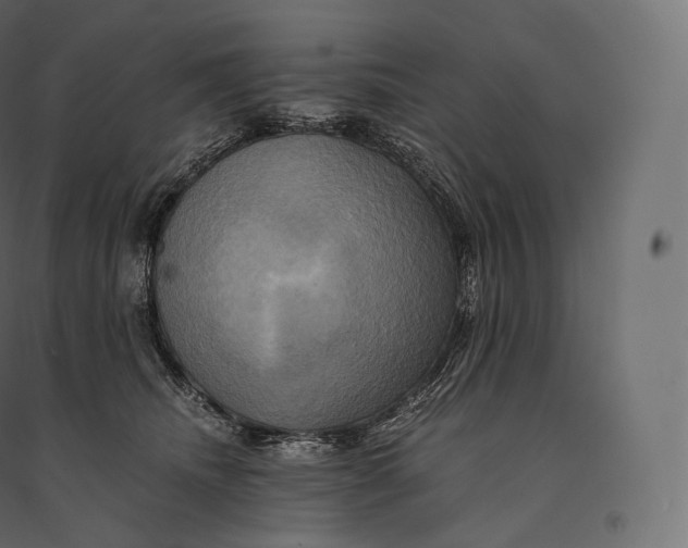 X0000094370468200711242003