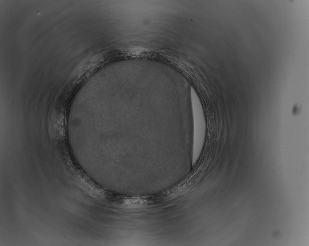 X0000094370470200711242003