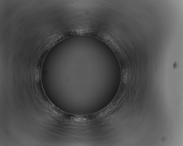 X0000094370471200711242003