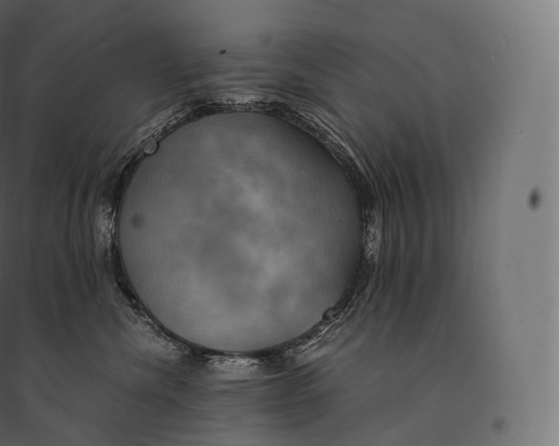 X0000094370476200711242003