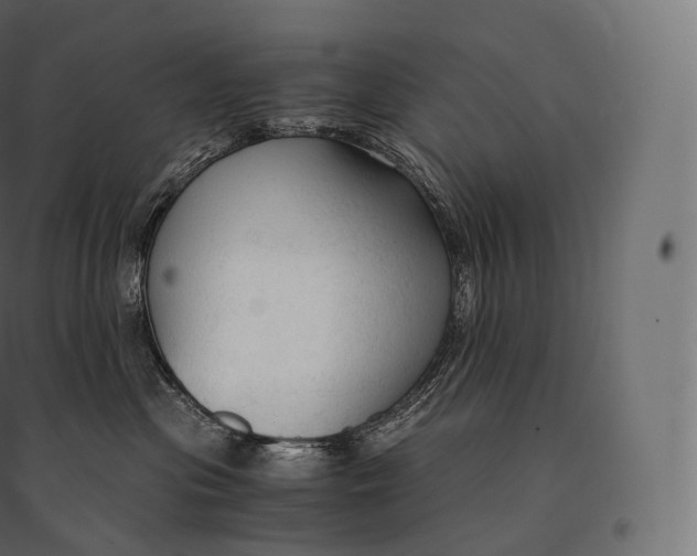 X0000094370477200711242003