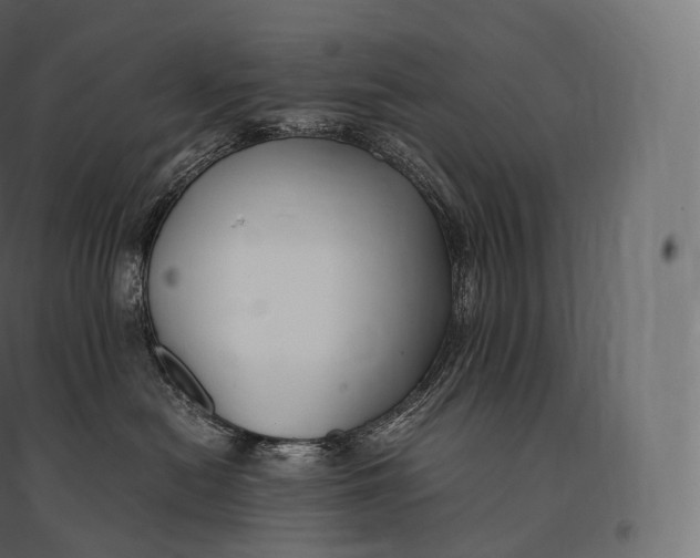 X0000094370478200711242004