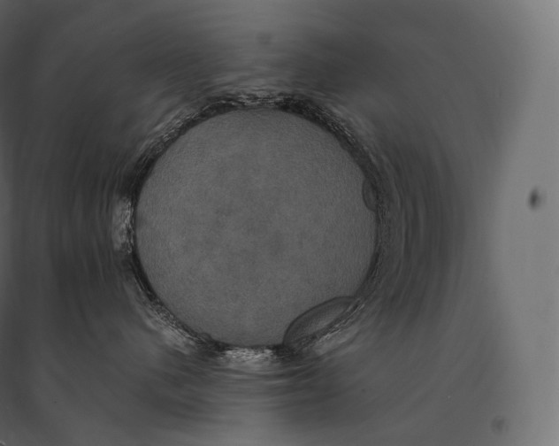 X0000094370480200711242004