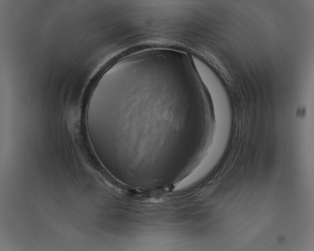 X0000094370484200711242003