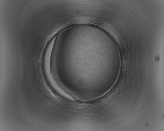 X0000094370485200711242003