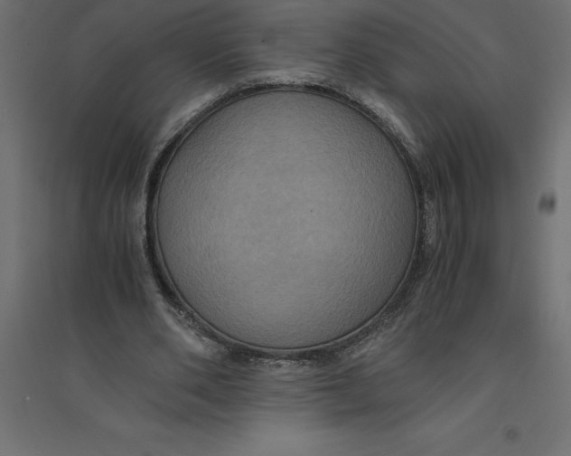 X0000094370486200711242003