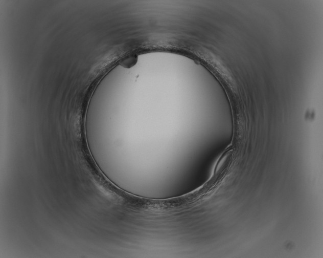 X0000094370489200711242003