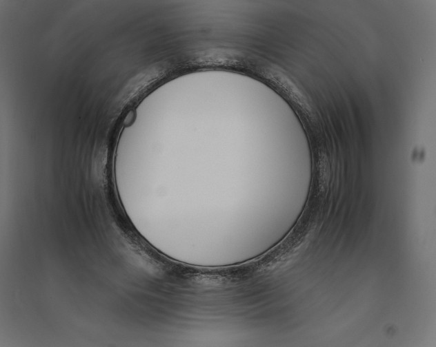 X0000094370490200711242003