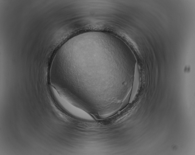 X0000094370493200711242003