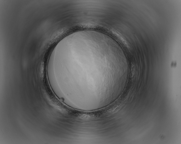 X0000094370494200711242003