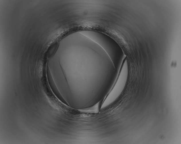 X0000094370496200711242003