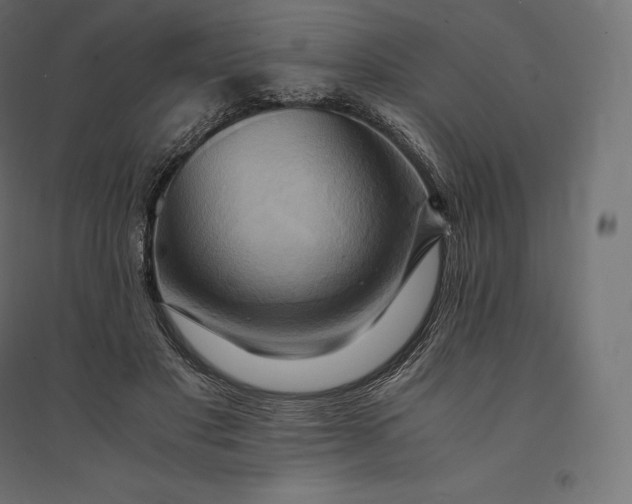 X0000094370501200711242003