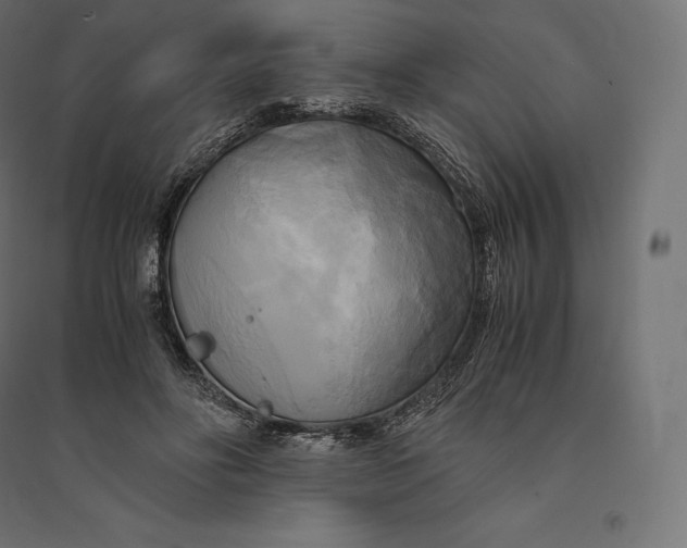 X0000094370502200711242003