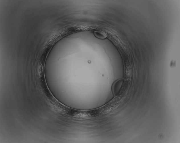 X0000094370503200711242003