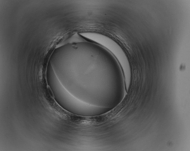 X0000094370504200711242003