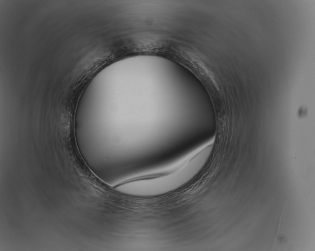 X0000094370505200711242003