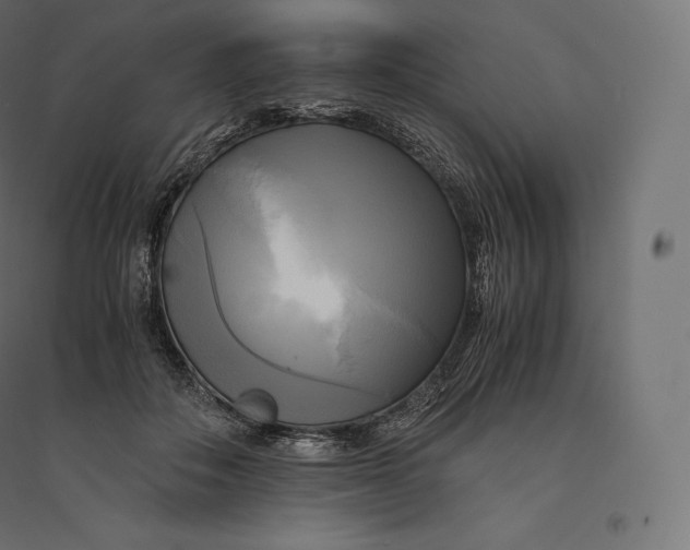 X0000094370506200711242003