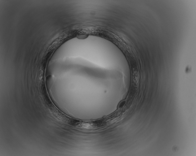 X0000094370507200711242003