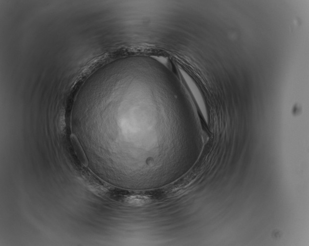 X0000094370508200711242003