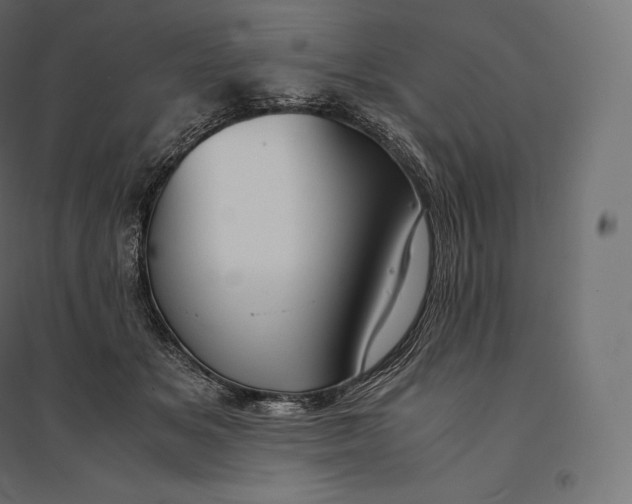 X0000094370509200711242002