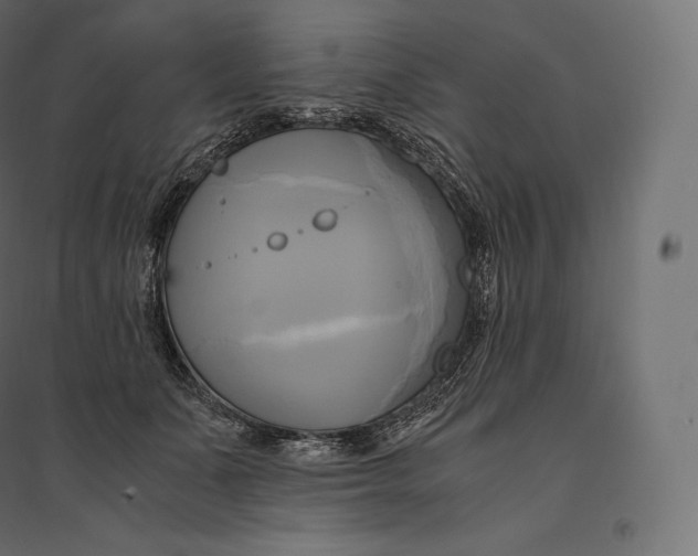 X0000094370511200711242002