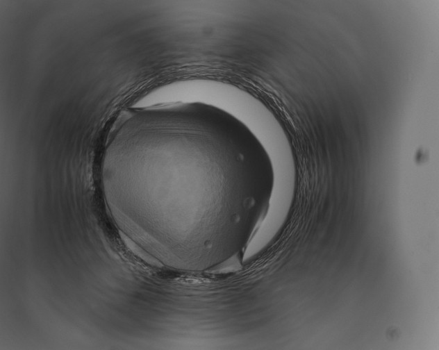 X0000094370512200711242002