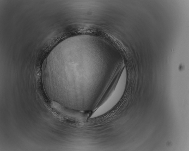 X0000094370513200711242002