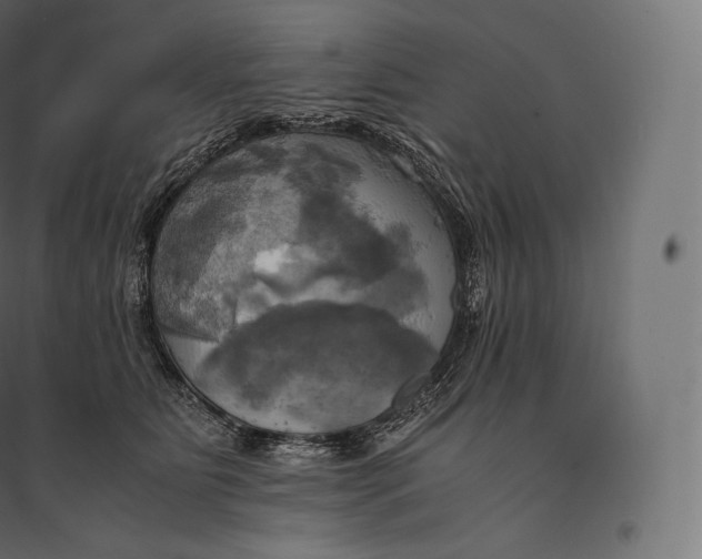 X0000094370515200711242002