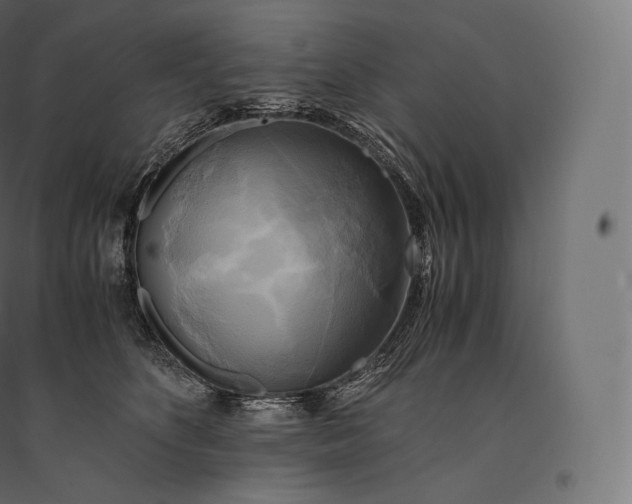 X0000094370516200711242002