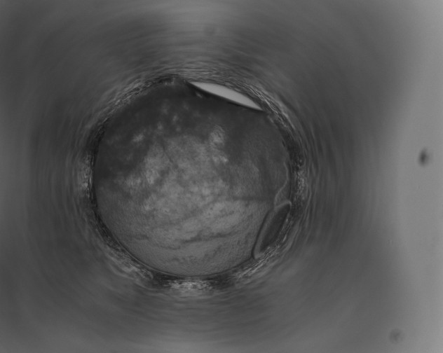 X0000094370517200711242002