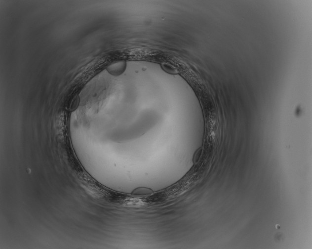 X0000094370519200711242002