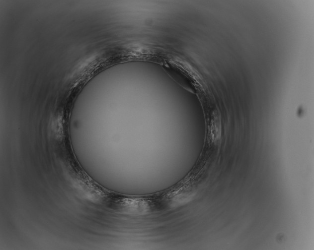 X0000094370520200711242002