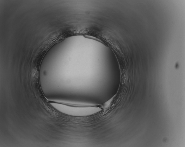 X0000094370521200711242002