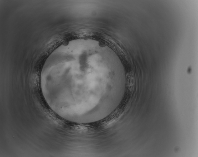 X0000094370523200711242002