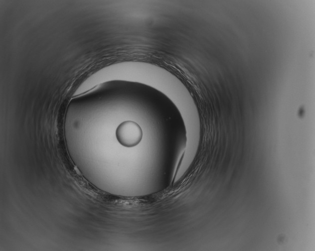 X0000094370524200711242002