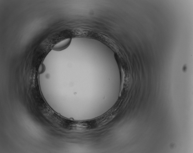 X0000094370525200711242002