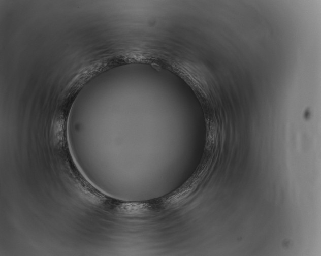 X0000094370526200711242002