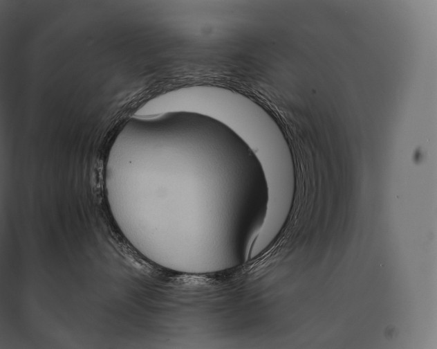 X0000094370528200711242002